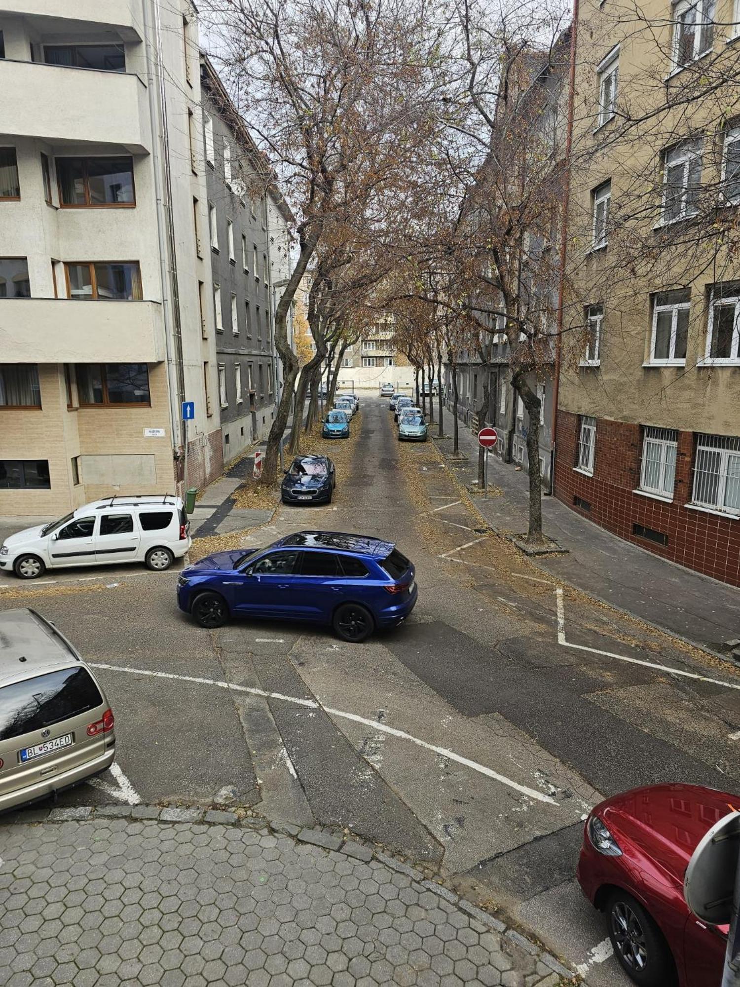 Appartement Huge Next To Train Station Close To The Center Bratislava